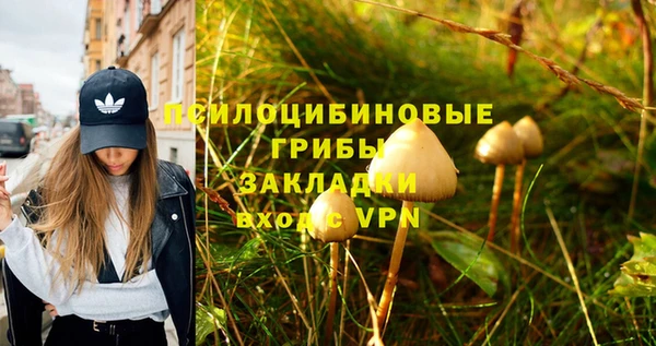 гашик Абдулино