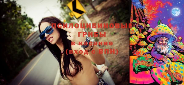 МДПВ Костерёво