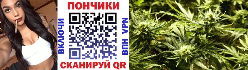 Бошки Шишки White Widow  закладка  Ярославль 